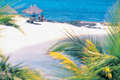 Ile aux Cerfs: Island & Waterfall Speedboat Tour with Lunch