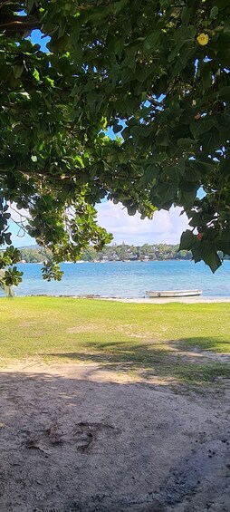 Picture 23 for Activity From Trou d'Eau Douce: Ile aux Cerfs Speedboat Tour w/ Lunch