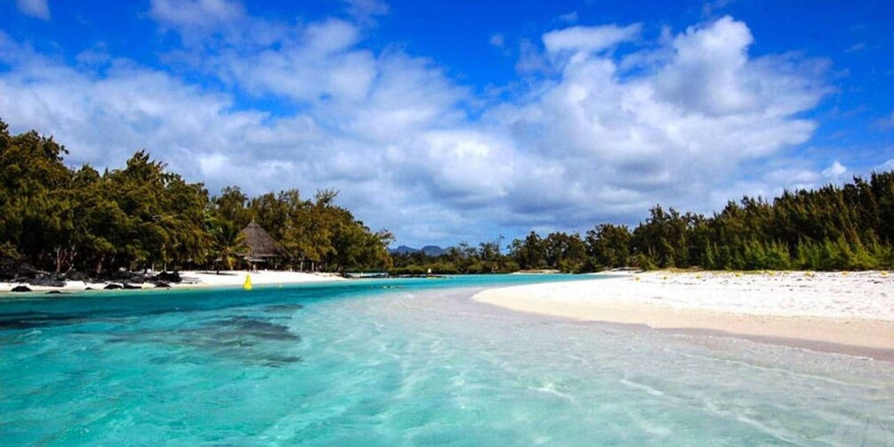 Picture 8 for Activity From Trou d'Eau Douce: Ile aux Cerfs Speedboat Tour w/ Lunch