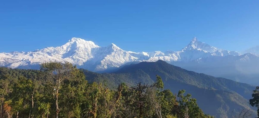 Picture 13 for Activity Pokhara: Day Hike to Australian Camp and Dhampus Village