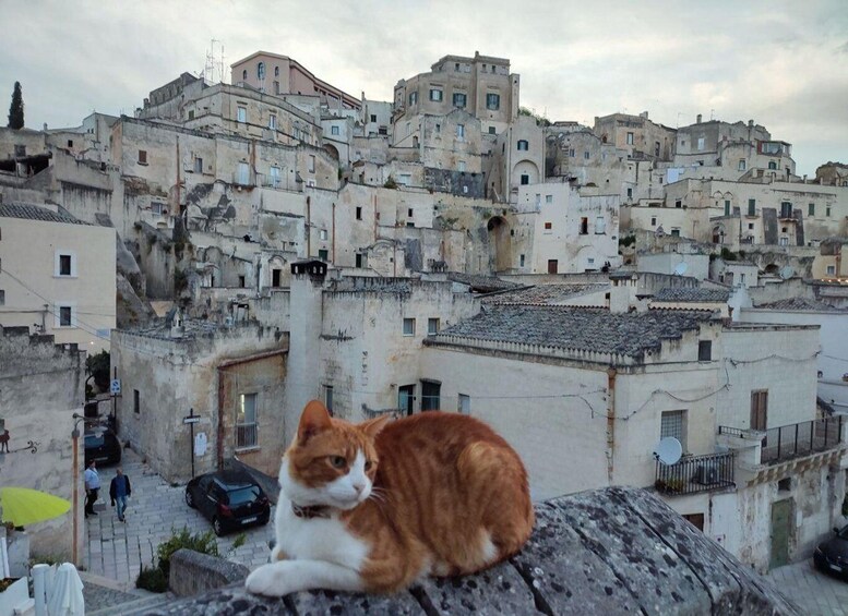 Picture 8 for Activity Matera: Sassi Tour and Exclusive Underground Site