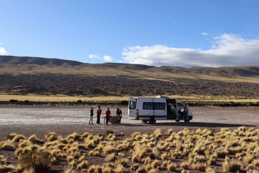 Picture 5 for Activity Full day Lagunas Altiplanicas, Piedras Rojas y Laguna Chaxa