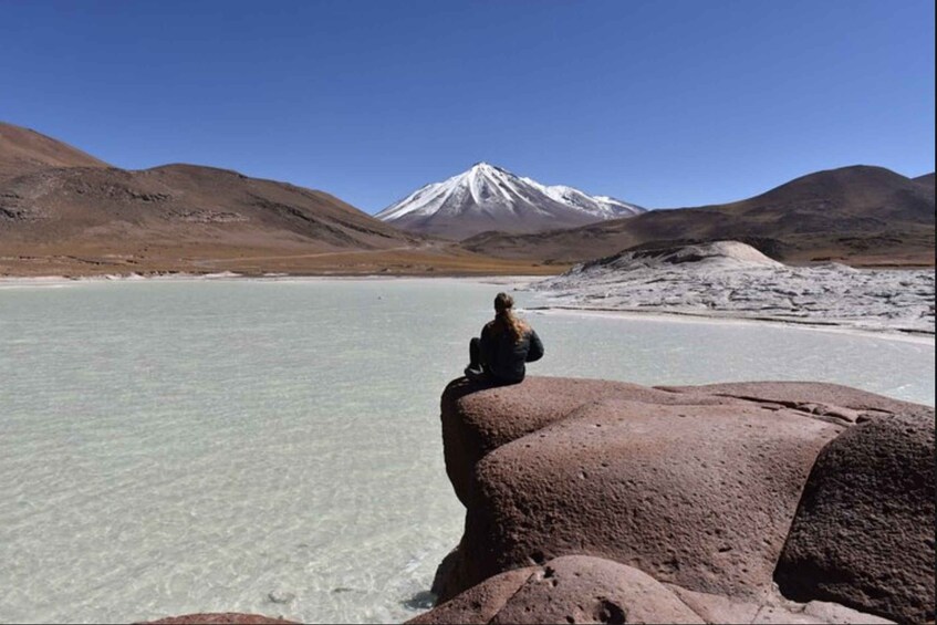 Full day Lagunas Altiplanicas, Piedras Rojas y Laguna Chaxa