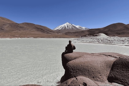 Full day Altiplanic Lagoons, Piedras Rojas and Chaxa Lagoon