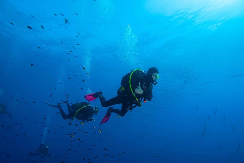 Picture 1 for Activity MARINA DI CAMPO: DIVING ON THE ISLAND OF ELBA AND PIANOSA