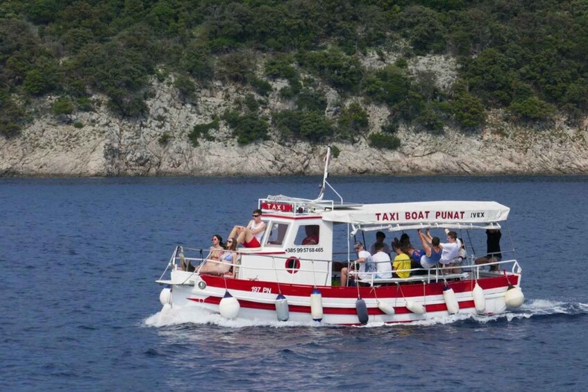 Picture 11 for Activity Explore the Wild Bays of Krk Island with Capt. Bobo(Private)