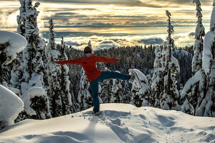 Vancouver: Panoramic View Hiking Tour