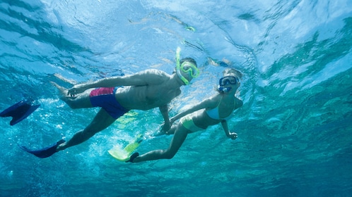 Puerto del Carmen: Snokel tour with an instructor