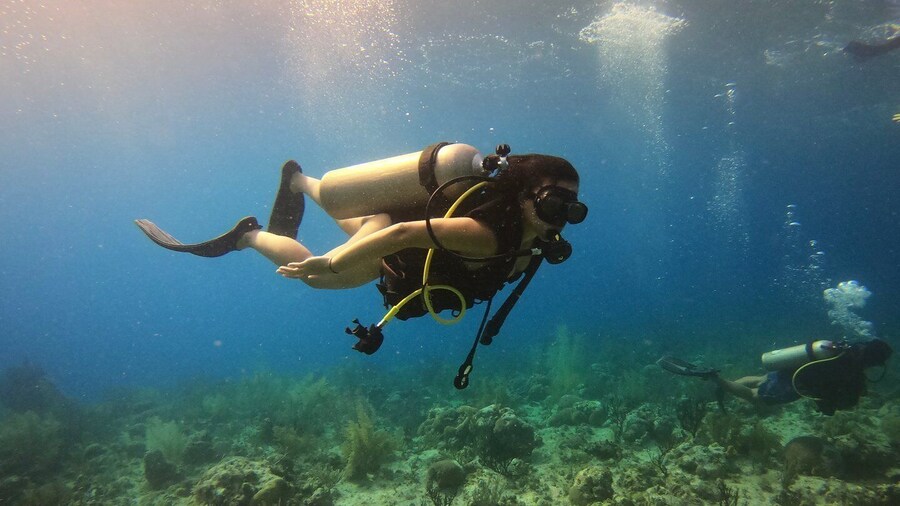 San Andrés: Guided Scuba Diving Trip with Hotel Transfer