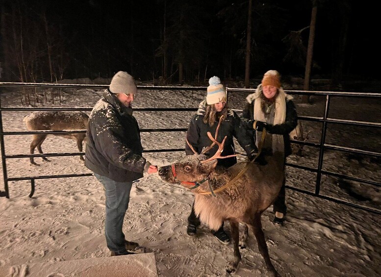 Alaskan Fireside Cookout with Reindeer