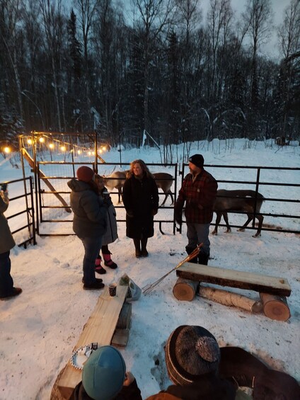 Picture 5 for Activity Alaskan Fireside Cookout with Reindeer