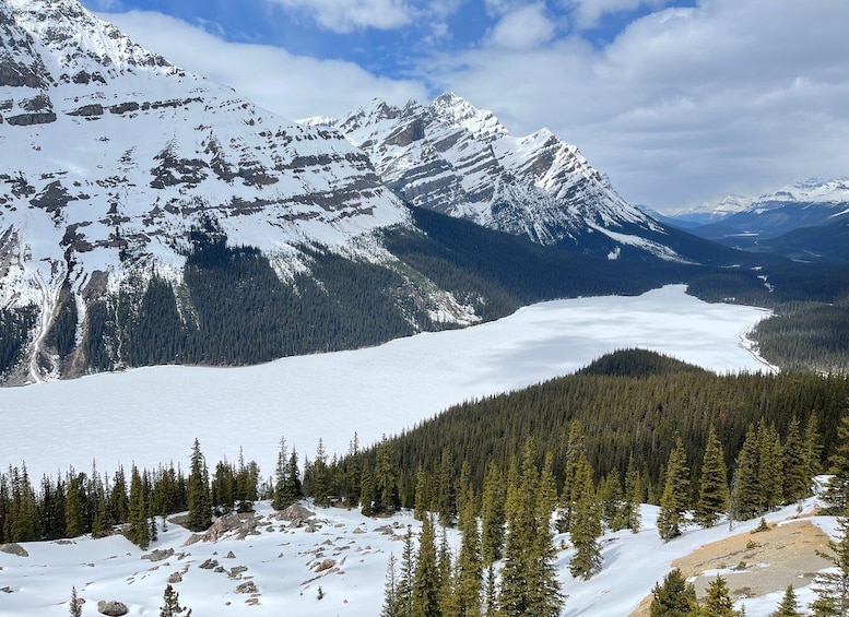 Picture 8 for Activity From Banff: Icefield Parkway Scenic Tour with Park Entry