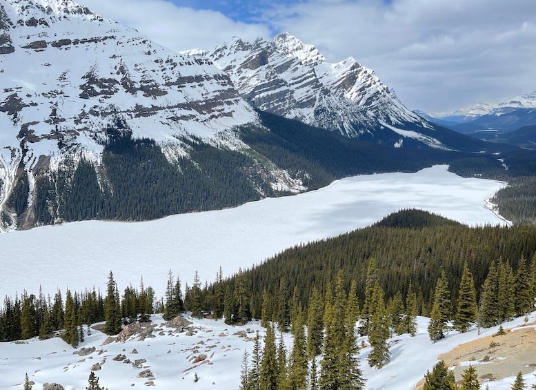 Picture 8 for Activity From Banff: Icefield Parkway Scenic Tour with Park Entry