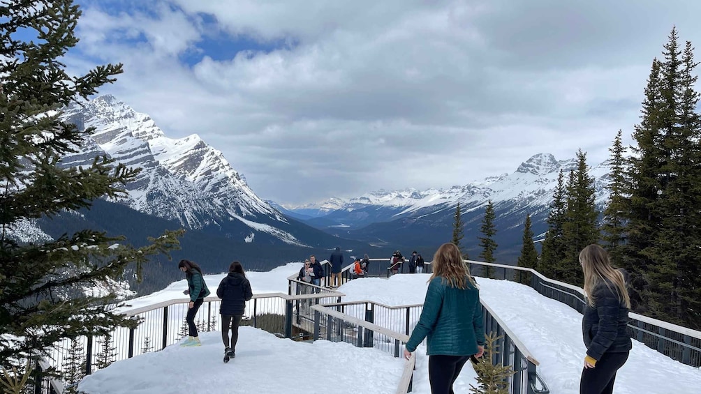 Picture 7 for Activity From Banff: Icefield Parkway Scenic Tour with Park Entry