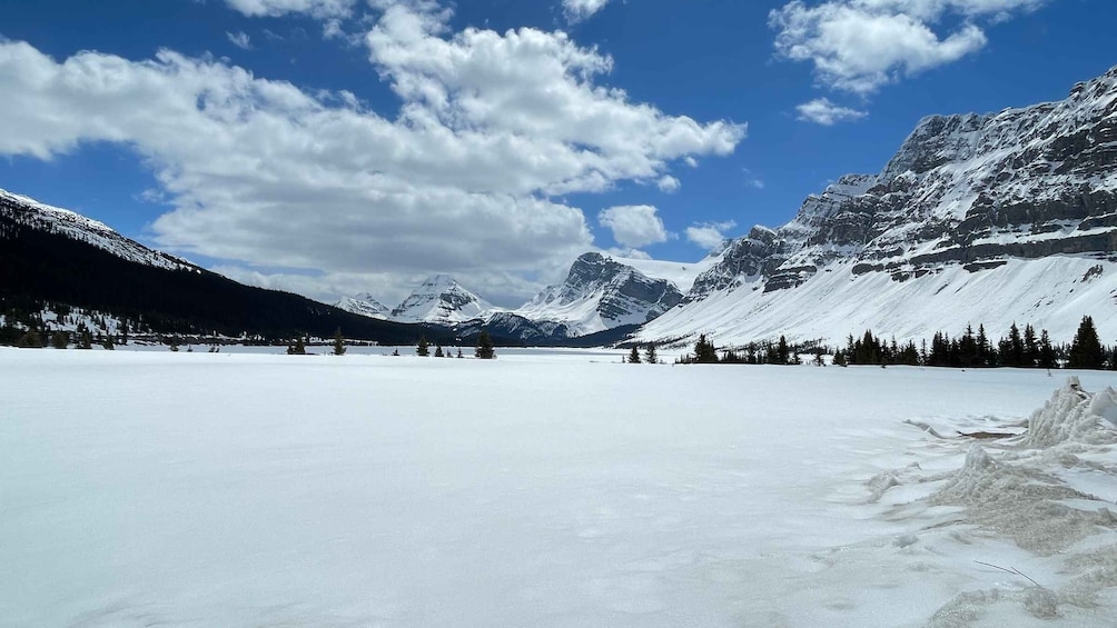 Picture 6 for Activity From Banff: Icefield Parkway Scenic Tour with Park Entry