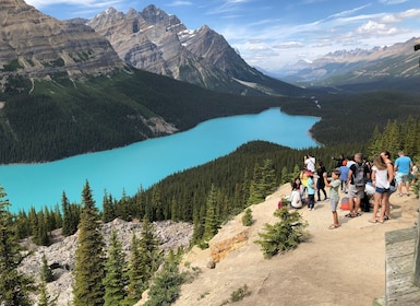 From Banff: Icefield Parkway Scenic Tour with Park Entry