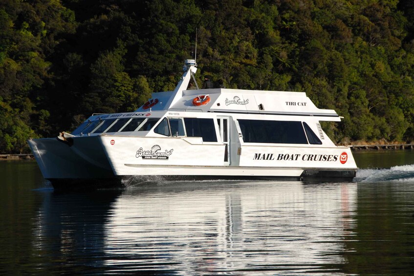 Picture 3 for Activity Picton: Queen Charlotte Sounds Sightseeing Cruise