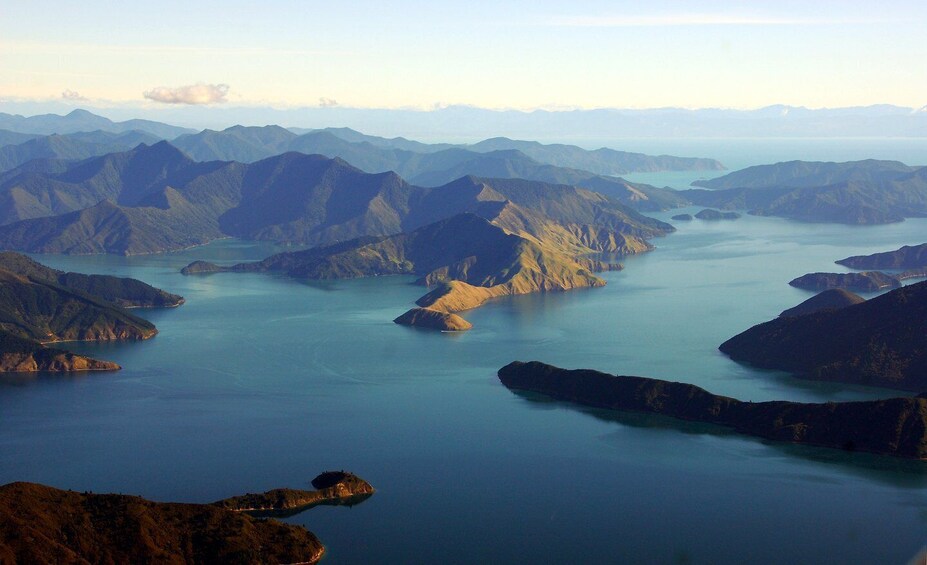 Picture 1 for Activity Picton: Queen Charlotte Sounds Sightseeing Cruise