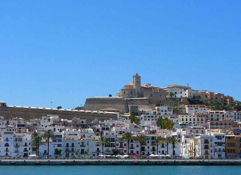 Picture 2 for Activity Ibiza old town Private Guided Walking Tour