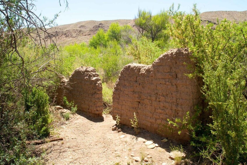 Picture 21 for Activity Big Bend National Park: Audio Tour Guide