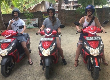 Exploration, Safari, & Guided Scooter Tour in Arugambay