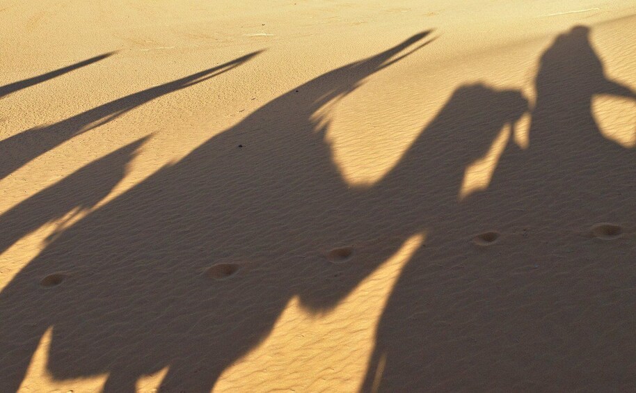 Picture 12 for Activity From Marrakech: 3-Day Desert Tour to Fes