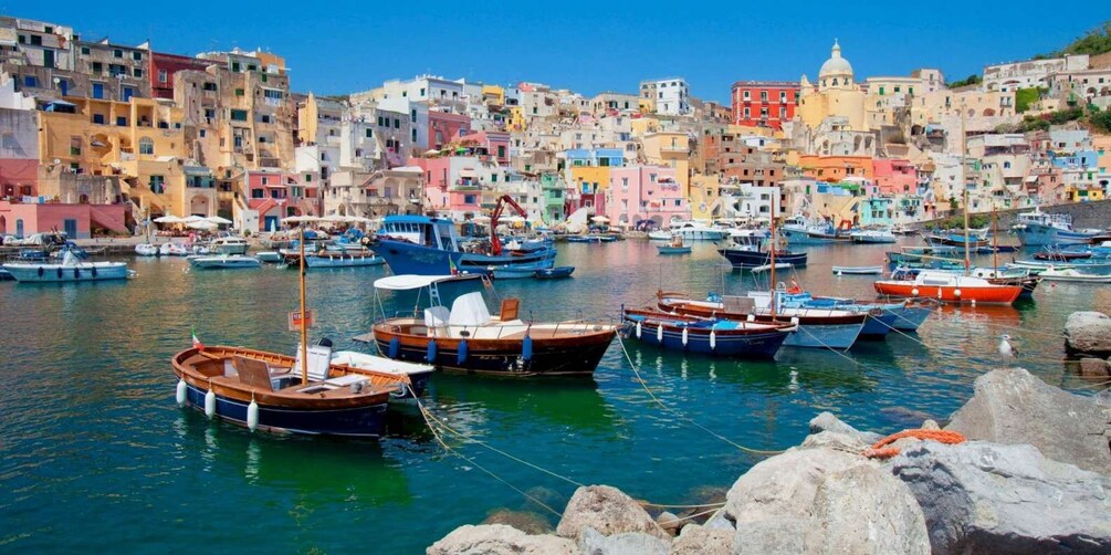 Picture 5 for Activity From Ischia: Procida Island Full-Day Boat Tour with Lunch