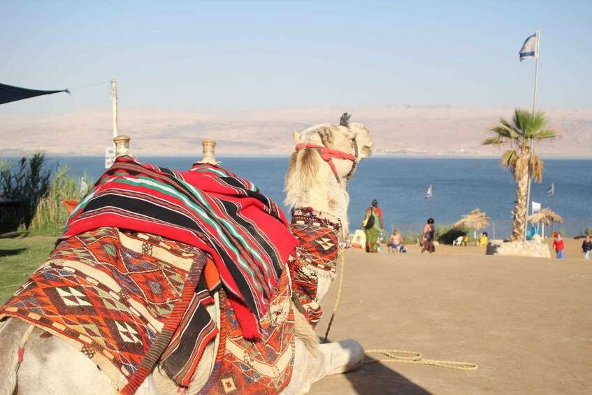 Picture 2 for Activity From Tel Aviv: Dead Sea Self-Guided Chill-Out Day Trip
