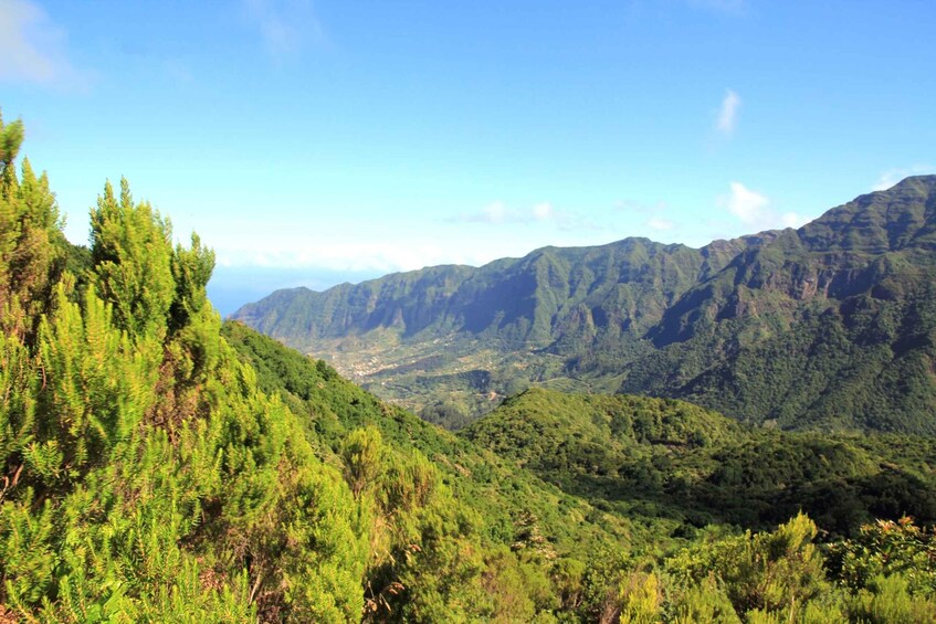 Picture 1 for Activity Madeira: Wine Safari Jeep Tour with Local Guide