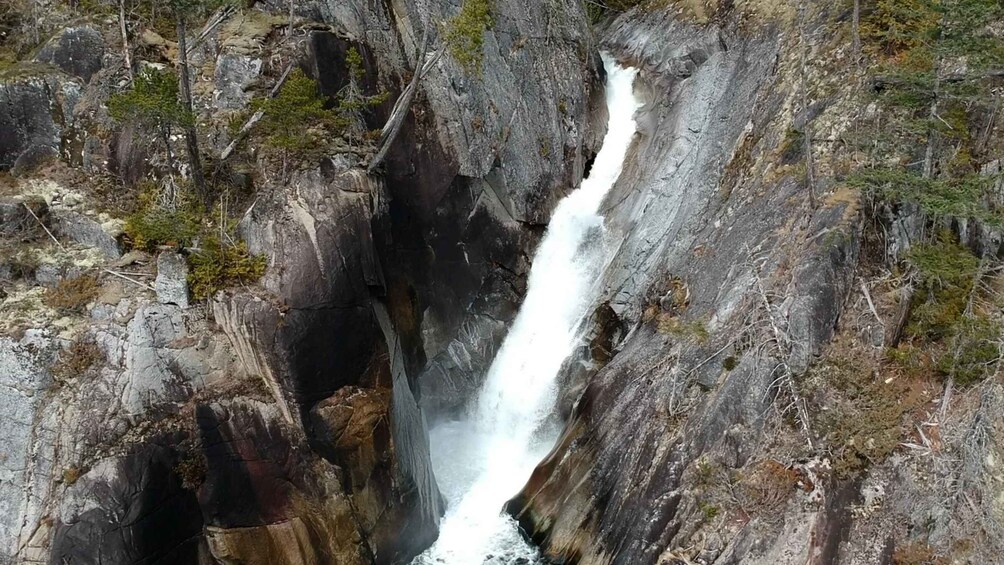 Campbell River: Waterfall and Wildlife Guided Boat Tour