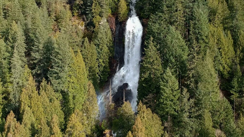 Picture 1 for Activity Campbell River: Waterfall and Wildlife Guided Boat Tour