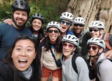 Fietsen in Vancouver: Stanley Park, Granville Island & Gastown