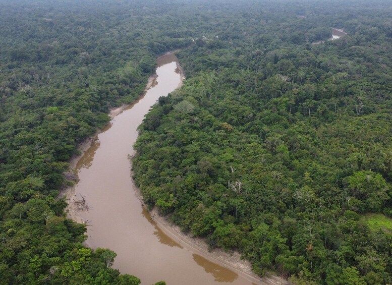 Picture 5 for Activity 4-Day All Inclusive Guided Jungle Tour from Iquitos