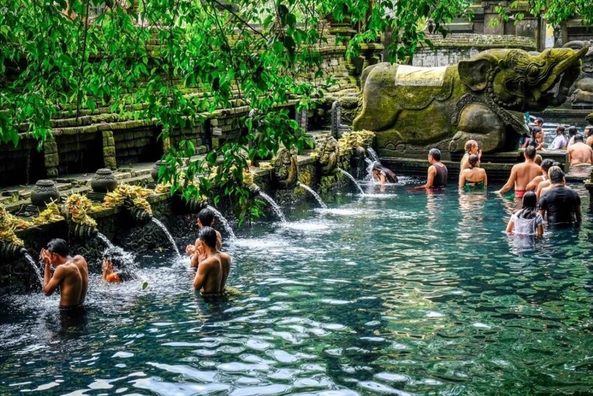 Picture 24 for Activity Best of Ubud: Monkey forest, Rice terrace, Waterfall & Swing