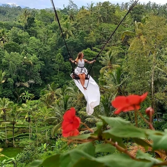 Picture 23 for Activity Ubud All-Inclusive Tour with Jungle Swing Experience