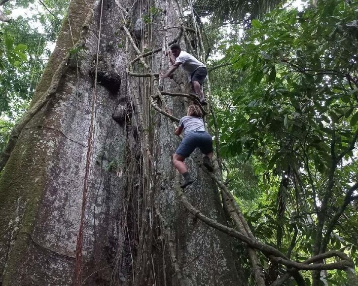 Picture 6 for Activity Iquitos: Adventure on the Black River (Yanayacu) | 4 Days