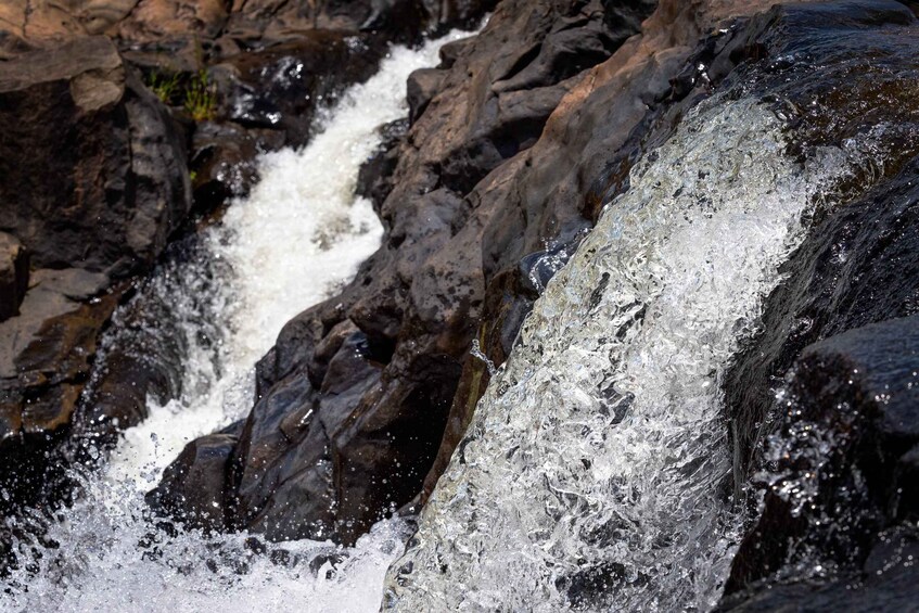 Picture 6 for Activity Hoedspruit: Panoroma Route Private Day Tour to Blyde Canyon