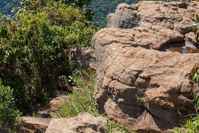 Picture 7 for Activity Hoedspruit: Panoroma Route Private Day Tour to Blyde Canyon