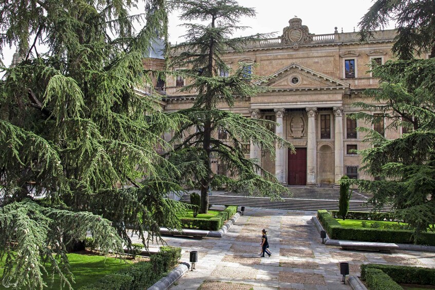 Picture 4 for Activity Salamanca: University and Colleges Walking Tour (Private)