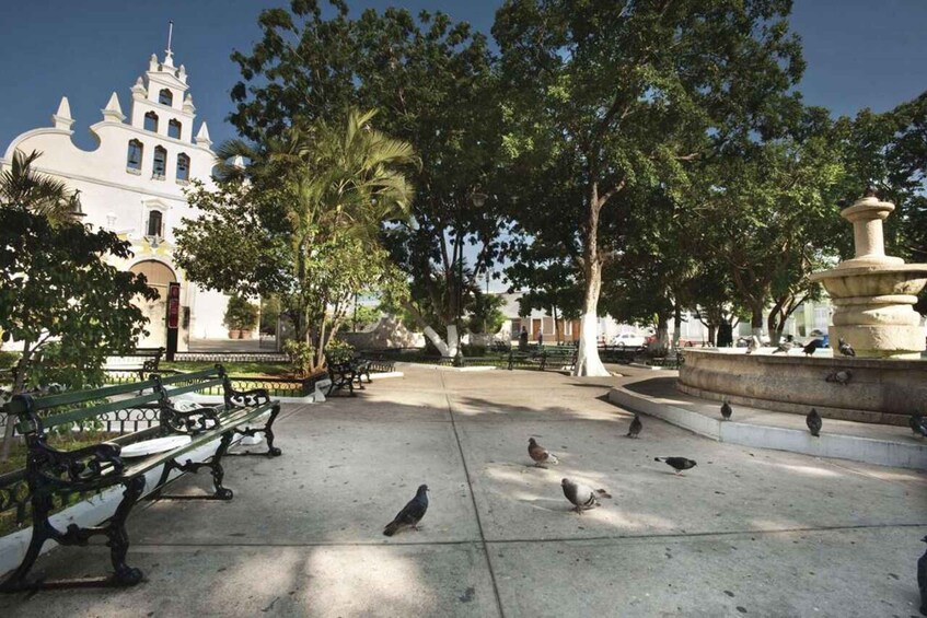 Picture 2 for Activity Mérida: City Highlights Guided Walking Tour