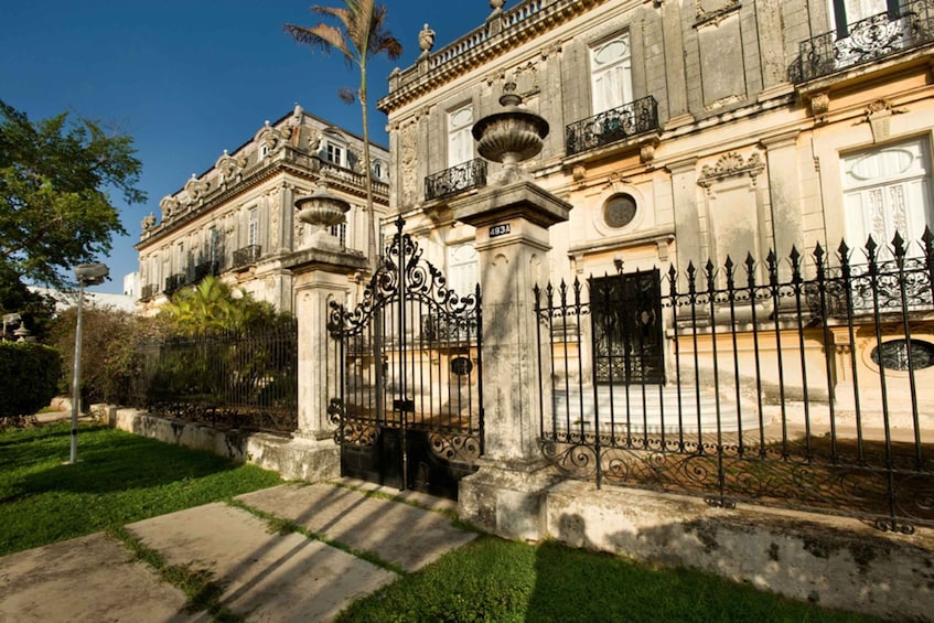 Picture 4 for Activity Mérida: City Highlights Guided Walking Tour
