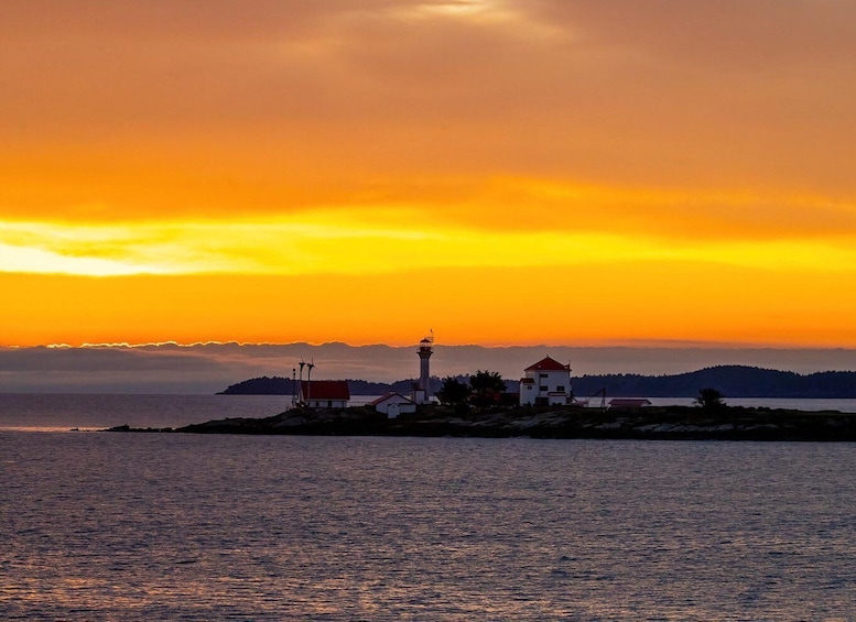 Campbell River: Scenic Sunset Tour By Boat