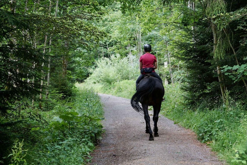 Picture 6 for Activity Pokhara: Horseback Adventure