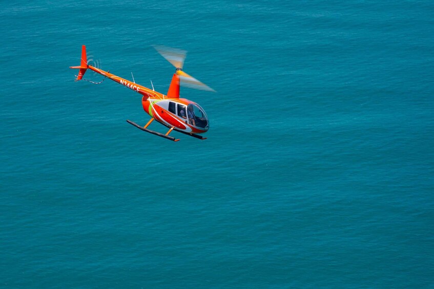 Picture 4 for Activity Key West: Helicopter Pilot Experience