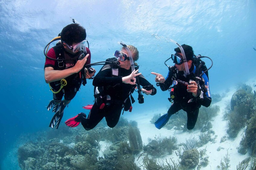 Picture 1 for Activity P.A.D.I. Open Water Diver Certification