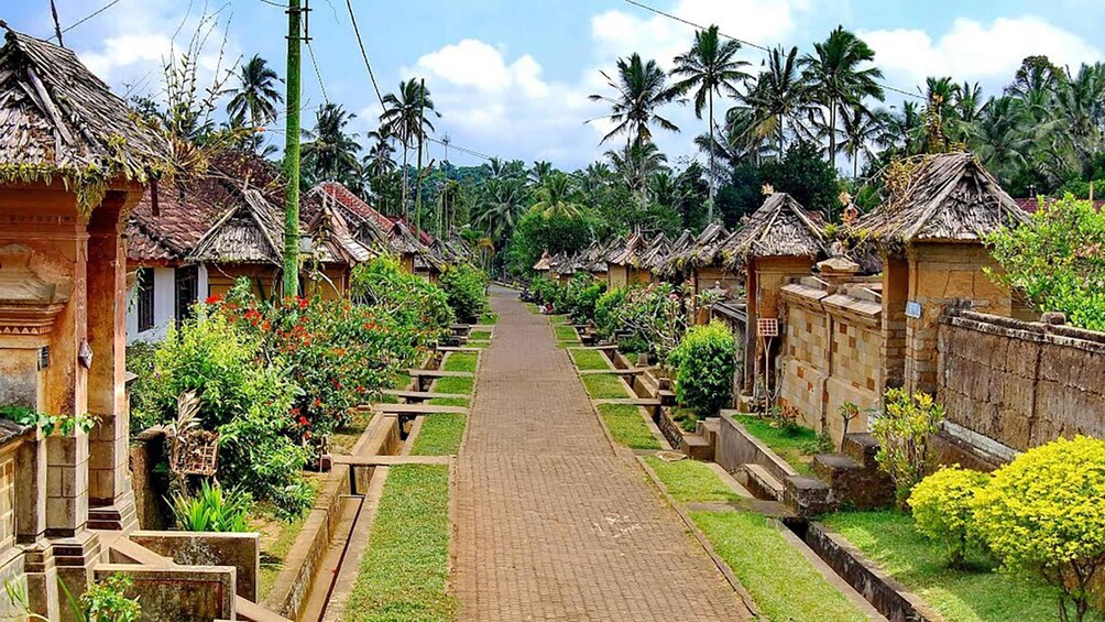 Picture 5 for Activity Bali: Trunyan Cemetery, Hot Springs, and Penglipuran Village