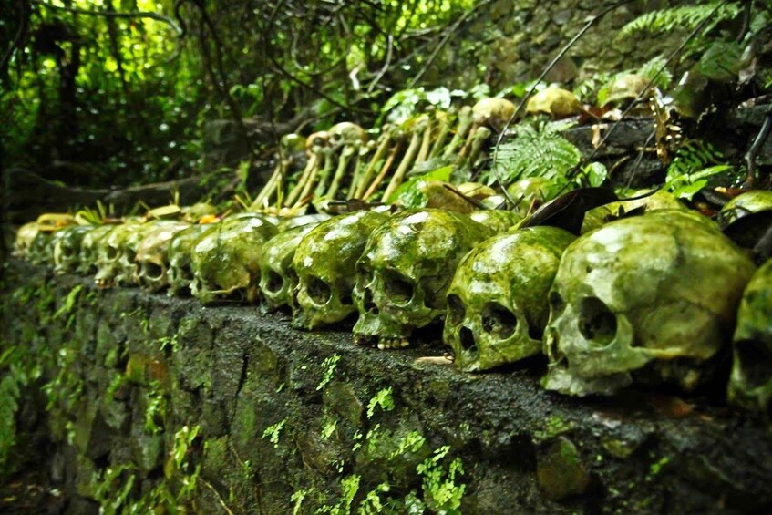 Bali: Trunyan Cemetery, Hot Springs, and Penglipuran Village