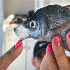 Privat morgenfisketur med frokost og drikkevarer