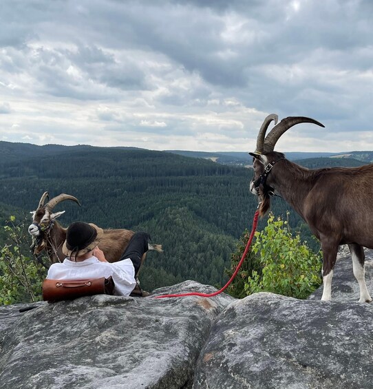 Picture 1 for Activity Climb the mountains together with goats