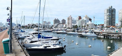 From Montevideo: Punta del Este Full-Day Private Tour